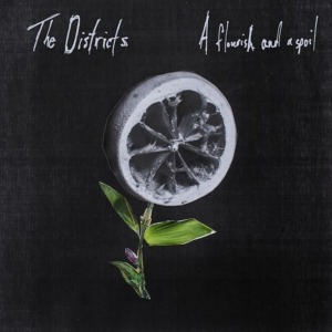 TheDistricts
